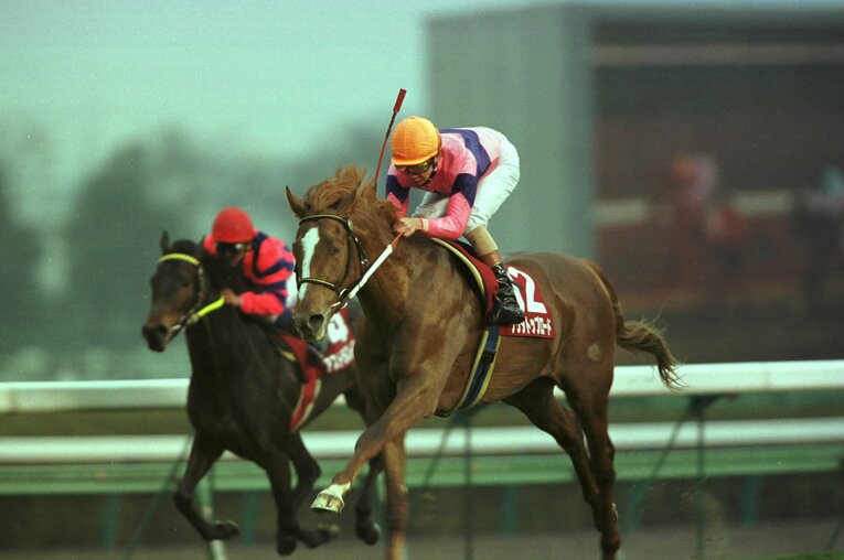 実際のレース写真（弥生賞を制したナリタトップロード）　©Tomohiko Hayashi