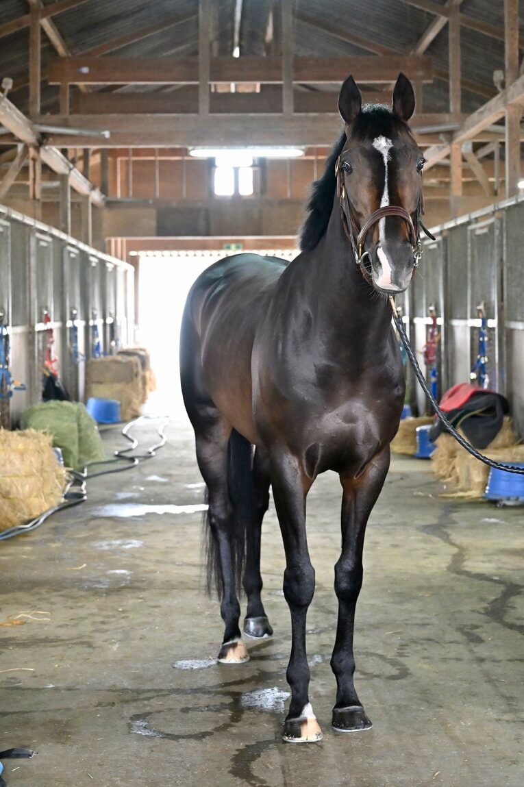 「僕とタイトルホルダーは折り合えるんだ」 横山家の長男・横山和生（29）が明かした天皇賞・春への自信と“父・典弘からのアドバイス”(28)