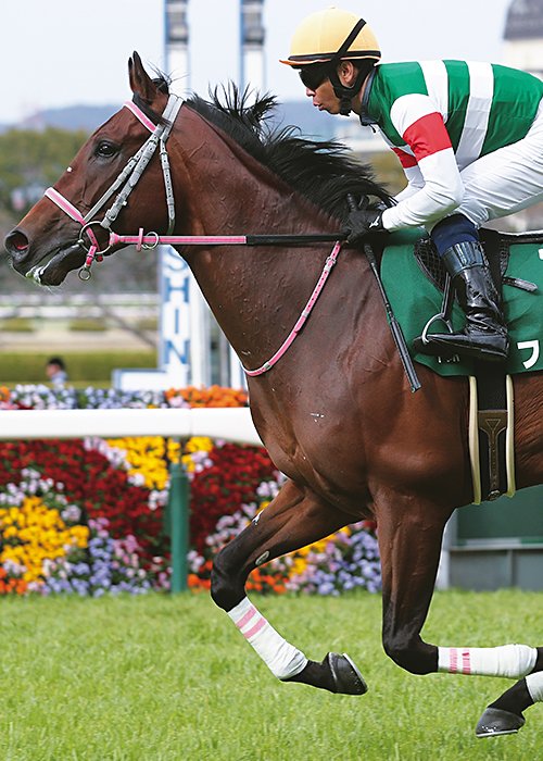 3月の毎日杯を制したファンダム