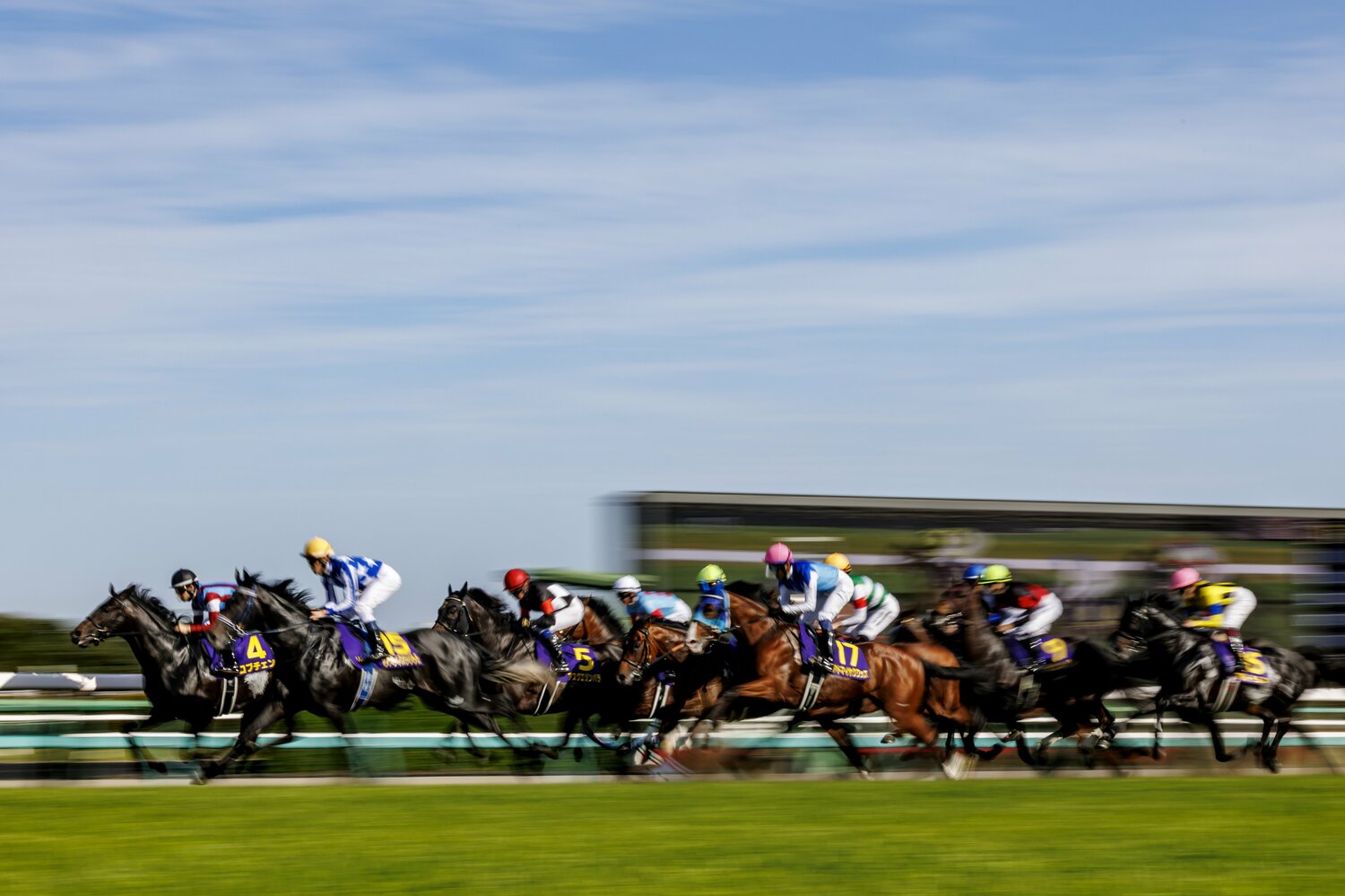 松山弘平が促してハナに立ったロブチェン。リアライズシリウスと津村明秀は外目の2番手につけた　©Kiichi Matsumoto