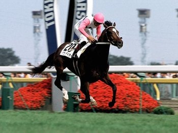 30年前「トウカイテイオーのダービー」はディープともブライアンとも違っていた　圧勝か、大敗かだった名馬の“特別な強さ”とは＜Number Web＞ photograph by Bungeishunju