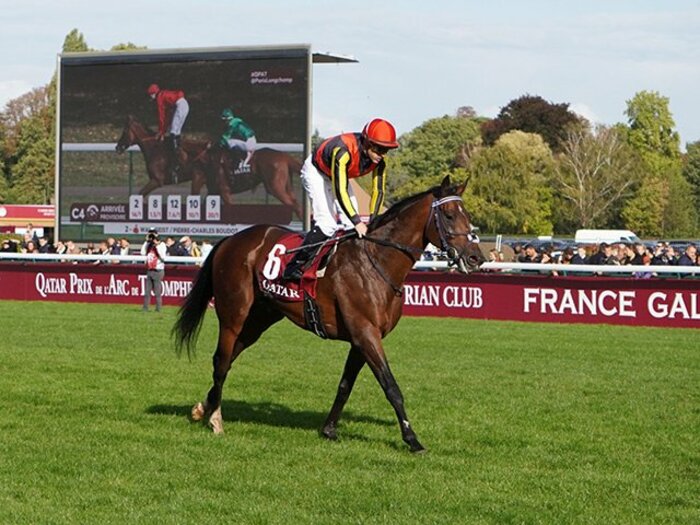 春の天皇賞は実績馬を狙え！本命は休み明けでも“あの馬”だ。＜Number Web＞ photograph by Satoshi Hiramatsu