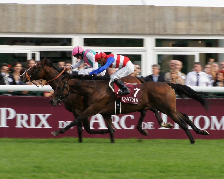 10年凱旋門賞で2着に入ったナカヤマフェスタ