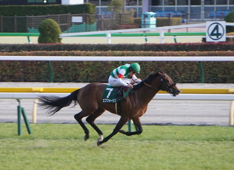 共同通信杯を制したエフフォーリア　©Satoshi Hiramatsu