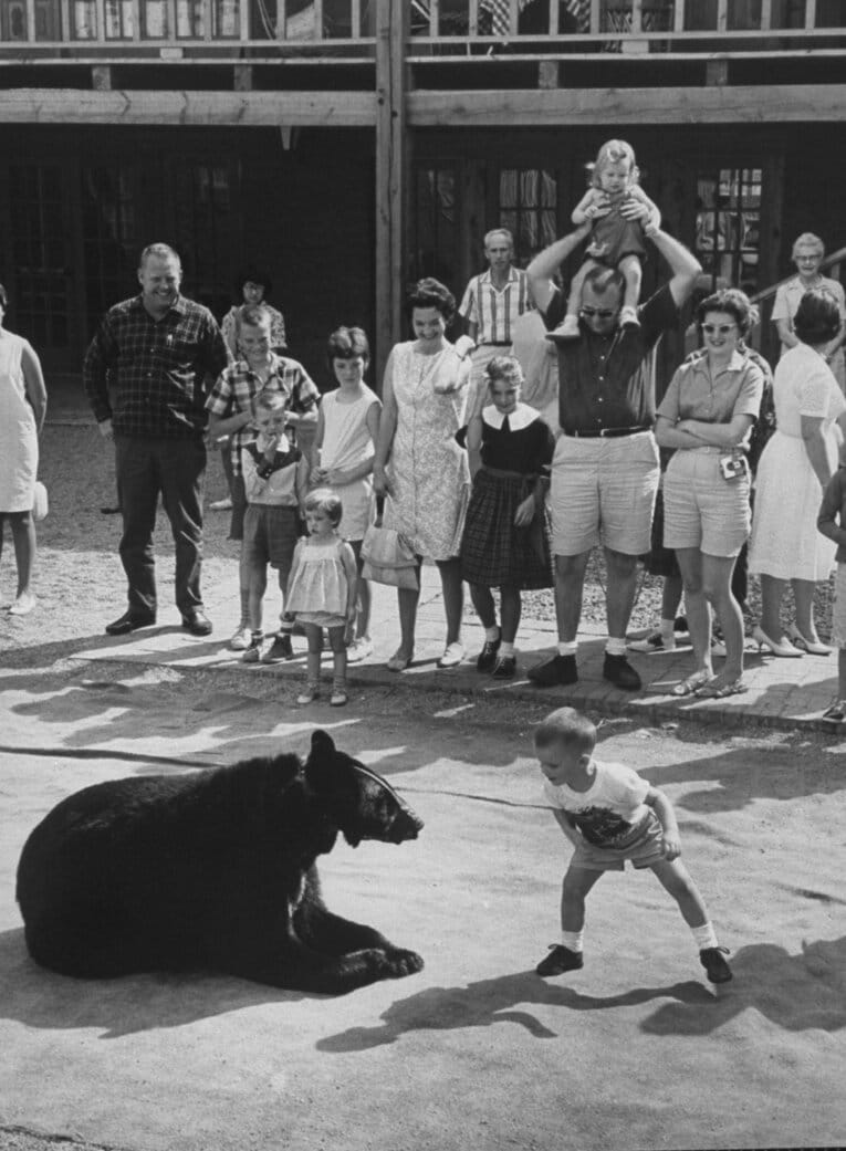 1963年、レスリング・ベアと子どもによるパフォーマンス。ツメや歯は取り除かれている　©Getty Images