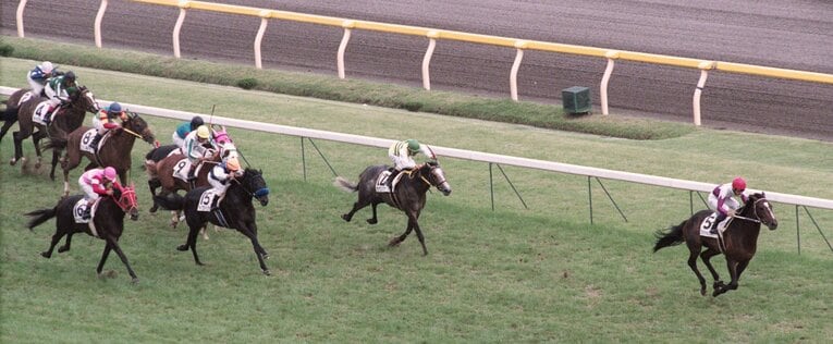 実際のレース最後の直線。セイウンスカイ（右から2）をスペシャルウィーク（右端）が差し切る。キングヘイロー（左端）は馬群に沈んだ　©KYODO