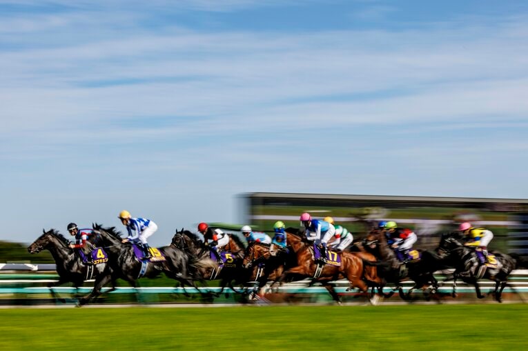 松山弘平が促してハナに立ったロブチェン。リアライズシリウスと津村明秀は外目の2番手につけた　©Kiichi Matsumoto