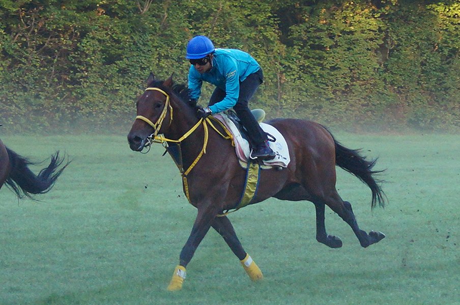 「重賞レベルなら日本馬の方が上」海外遠征の変化と武豊が語る評価。<Number Web> photograph by Satoshi Hiramatsu