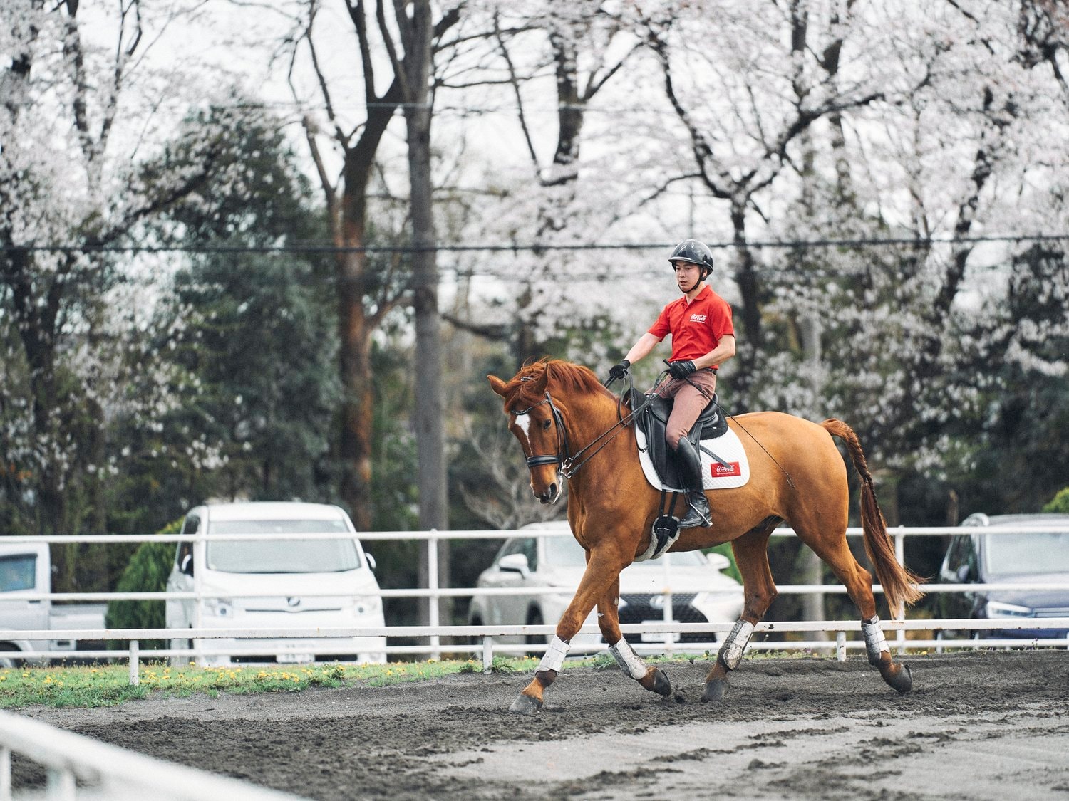 高嶋活士が語る競馬と馬術の騎乗の大きな違い 馬と共にもっと気楽に楽しく に修造が共感する 4 4 パラスポーツ Number Web ナンバー