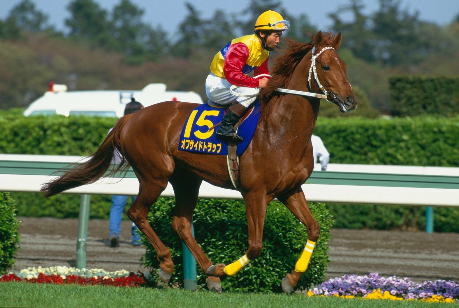 オフサイドトラップ（写真は皐月賞時）　©BUNGEISHUNJU