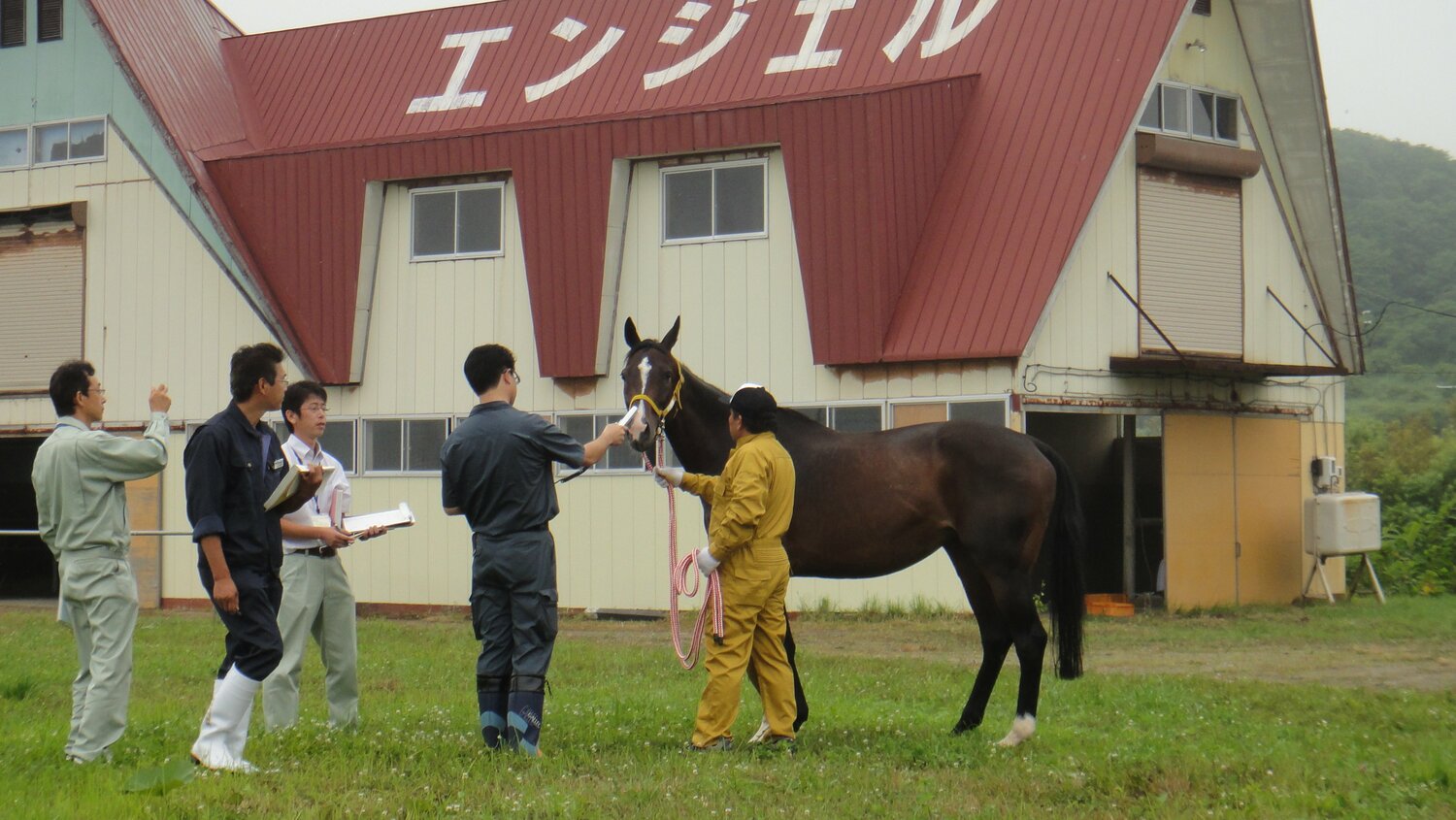 北海道日高町に輸送され、線量測定を行うトガミハリヤー（2011年8月）