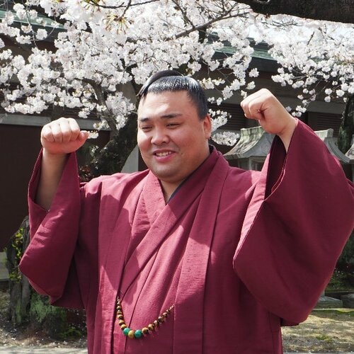 ジャスミンです。佐田の海 朝乃山 ジャスミンです。佐田の海 朝乃山 朝乃山を徹底解剖 - Number Web