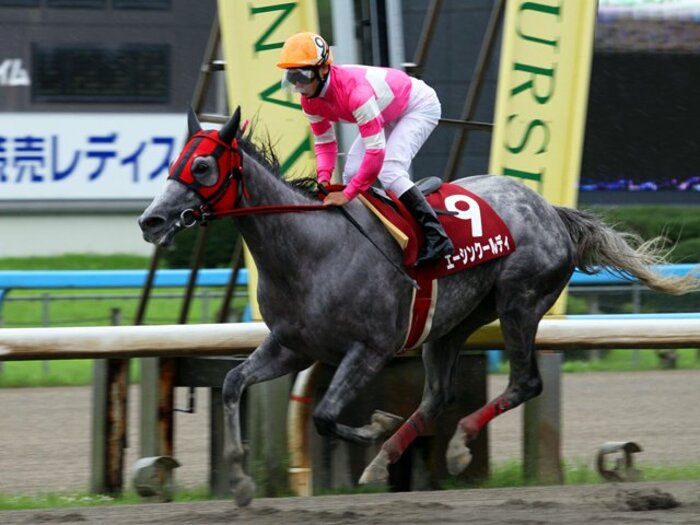 3年目を迎えるGDJ。熱き牝馬の戦いに注目。~地方競馬の重賞シリーズ、開幕へ~<Number Web> photograph by Yukio Miyajima