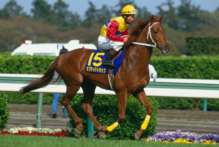 オフサイドトラップ（写真は皐月賞時）　©BUNGEISHUNJU