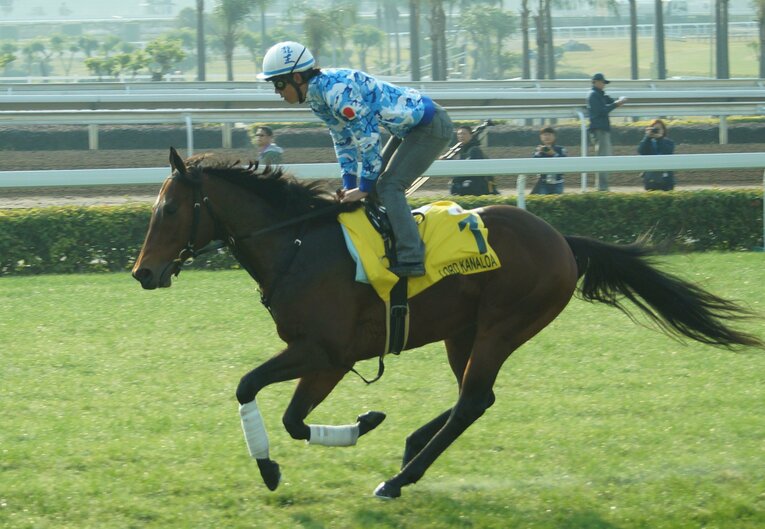 《シルクロードS》香港スプリント2連覇に親子制覇…ロードカナロアが遺した“最強スプリンター伝説”　今年の短距離戦線も産駒に注目？(7)