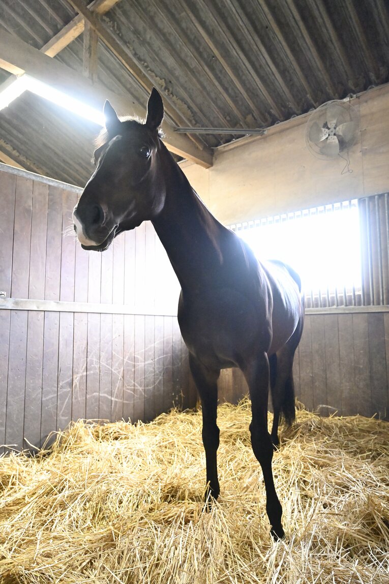 「僕とタイトルホルダーは折り合えるんだ」 横山家の長男・横山和生（29）が明かした天皇賞・春への自信と“父・典弘からのアドバイス”(29)