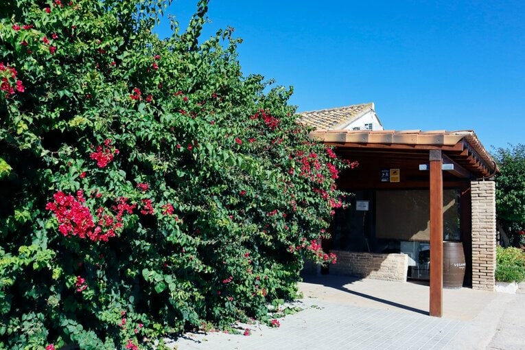 「久保建英が敵地の子供にユニをプレゼント！」“愛されすぎなタケ”の神対応…「お米がパリッと」バレンシア名物パエリアも食べて撮った(16)