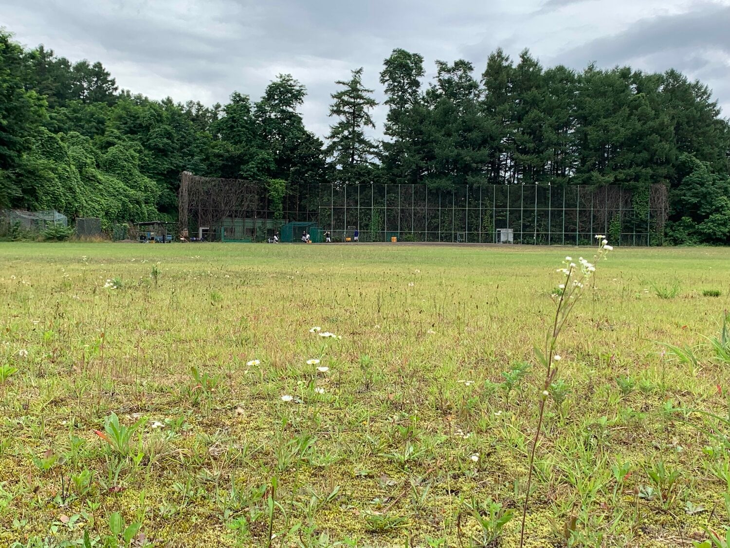 森高校の練習風景（筆者撮影）