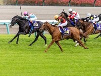 競馬 マヤノトップガン 田原成貴 直筆サイン入り 色紙 トレーティング おまけ付 プレゼントあり】本紙でもおなじみ天才ジョッキー・田原成貴も