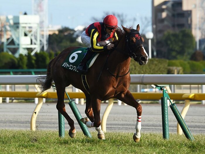 桜花賞を呆れる強さで勝って欲しい。“絶対的一強”メジャーエンブレム。＜Number Web＞ photograph by NIKKAN SPORTS