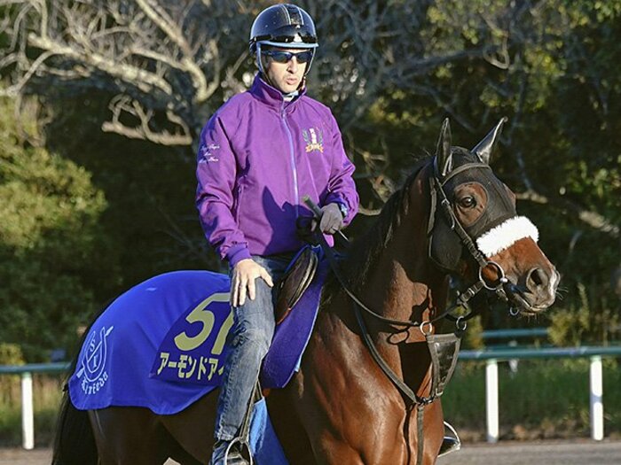 天皇賞・秋でアーモンドアイのGI8勝を阻む牝馬は… 武豊の偉業継ぎ、ルメールが「令和の盾男」になるか<Number Web> photograph by Kyodo News