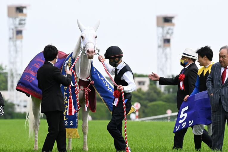 ソダシvsスターズオンアースは競馬史に残るレースとなるか？「ウオッカとダイワスカーレット」以来の“名牝ライバル誕生”を期待してしまう理由(23)