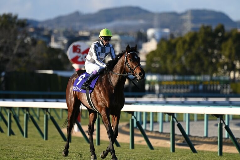 「毎年このレースが近づいてくると…」朝日杯FS“22回目の挑戦”で武豊（52）が悲願達成　“3番人気”だったドウデュースはなぜ勝てたのか？(13)