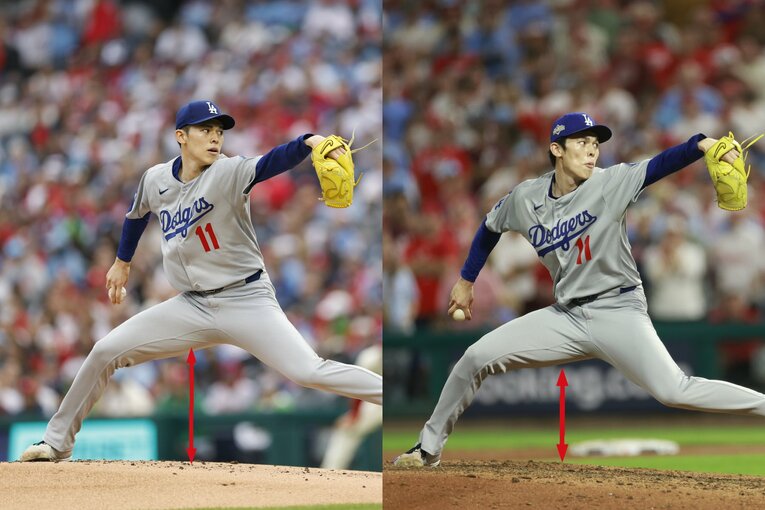 左が4月、右が10月。重心が低く力強く変化している　©Yukihito Taguchi(2)