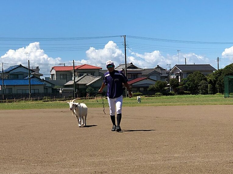 センバツ出場予定高校→ヤギ成育＆部員1人の農業校へ　磐城高・前部長の数奇な野球人生(4)