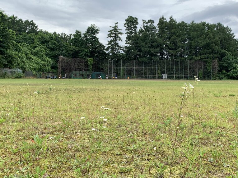 森高校の練習風景（筆者撮影）