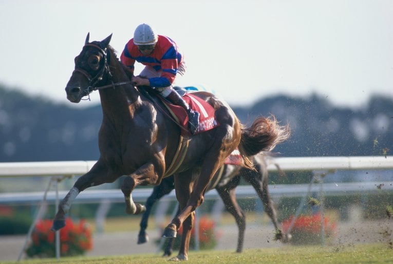 マチカネフクキタル　©BUNGEISHUNJU