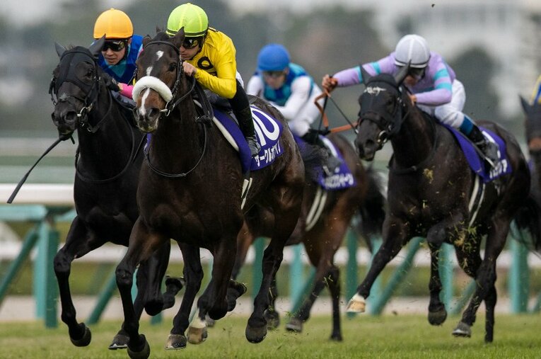 昨年12月の阪神JF（GI）を制したサークルオブライフ。今回はナミュールに次ぐ2番人気が予想される ／ photograph by Photostud