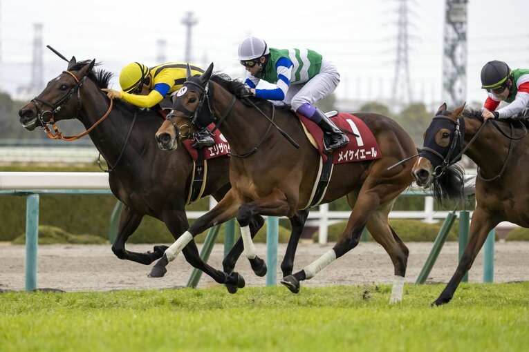 チューリップ賞で1位同着になったメイケイエールとエリザベスタワー（奥）