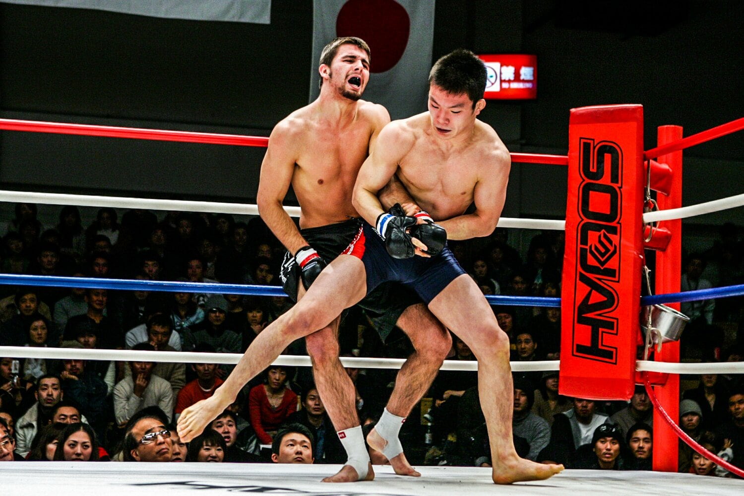 腕を極めながら投げを打つ青木真也。「メキッ」という乾いた音が…(1枚目/全2枚) ©Susumu Nagao