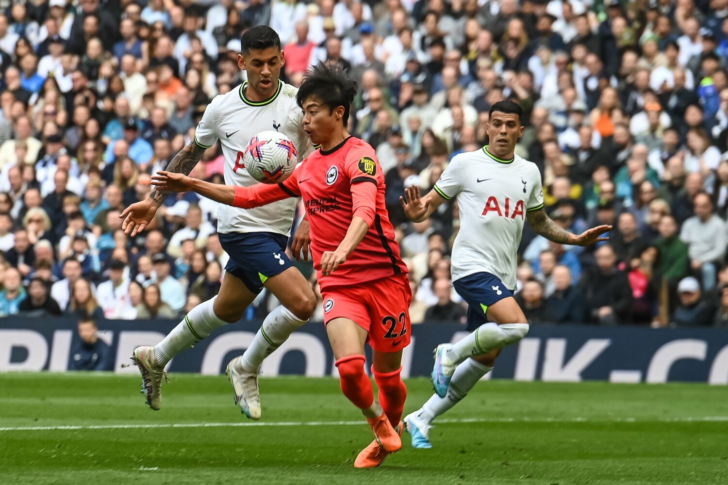 トッテナム戦、三笘薫の「幻のゴール」の場面（1／2枚）。マクアリステルからの浮き球パスを“右肩付近で”トラップ　©JIJI PRESS