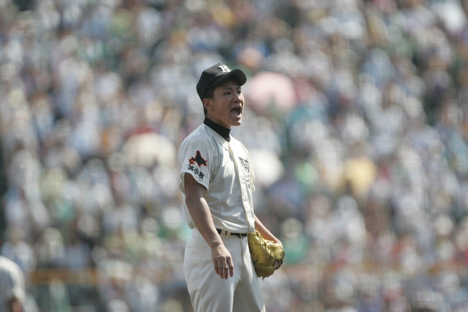 2005年、駒大苫小牧の夏連覇に貢献した田中将大（当時2年生） ©Hideki Sugiyama