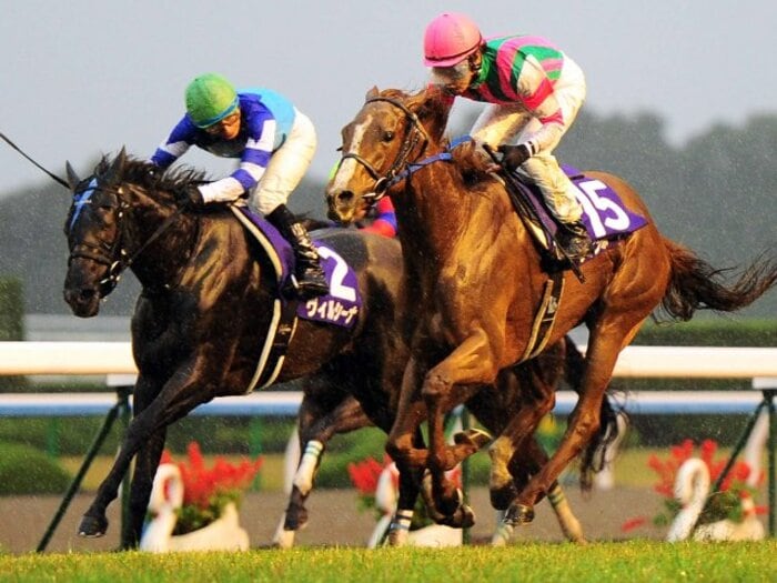 《エリ女》直近10年で“最低人気V”は7番人気のアノ馬だった…大ベテラン柴田善臣が強豪たちを破り「小さくガッツポーズ」できたワケ＜Number Web＞ photograph by AFLO