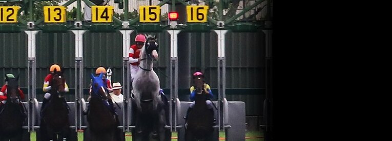 ゲートが空いてからゴールドシップが走り出すまで、永遠のように思えた数秒間だった。懸命の追走も実らず、15着となった。 ／ photograph by Yuji Takahashi