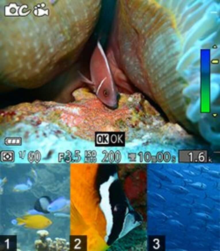 【写真上】 水中で強調されがちな青色を補正し、自然な色合いを表現。また、水中の歪みも補正することで、見たままの自然な世界を再現する。浅い場所ではスタンダード、近距離撮影ではクローズアップ、水深の深い場所ではダイビングと設定を変えることができる。
【1】はスタンダードモード、【2】はクローズアップモード、【3】はダイビングモード。 