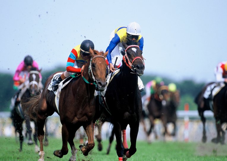 アグネスフライト（左）、エアシャカール（右）　©BUNGEISHUNJU