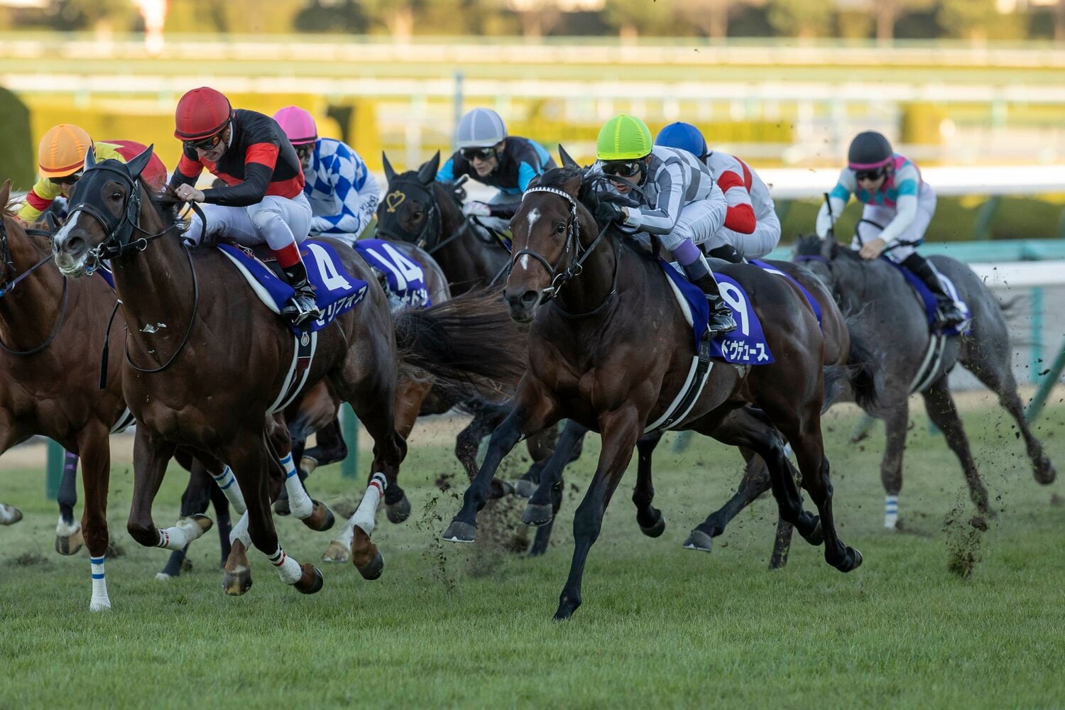 2021年の朝日杯FSを制したドウデュース。武豊にとって初の同レース制覇となった　©Photostud