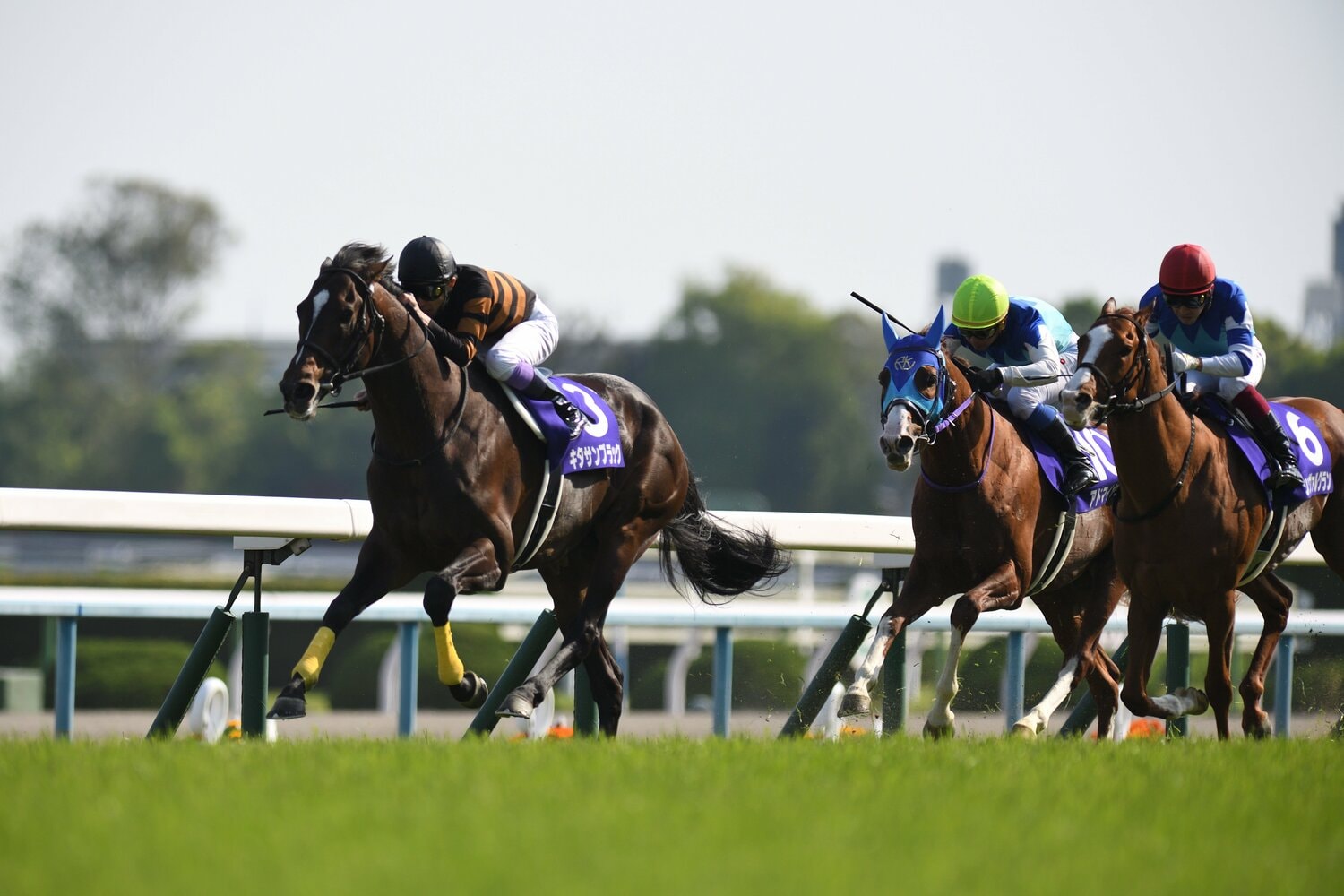 ハイペースの中、先行したキタサンブラック。最後の直線で脚色は衰えず、並ばせることなくゴール ©Keiji Ishikawa