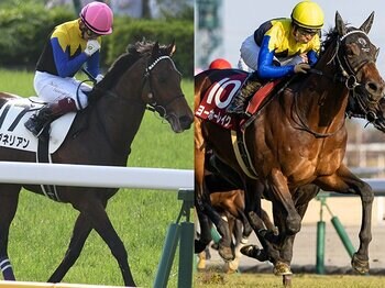 急逝したワグネリアンの“弔い合戦”…同じオーナー、同じ厩舎の“後輩馬”に後押し? ヨーホーレイク勝利、AJCCにはポタジェが出走<Number Web> photograph by Keiji Ishikawa/Photostud