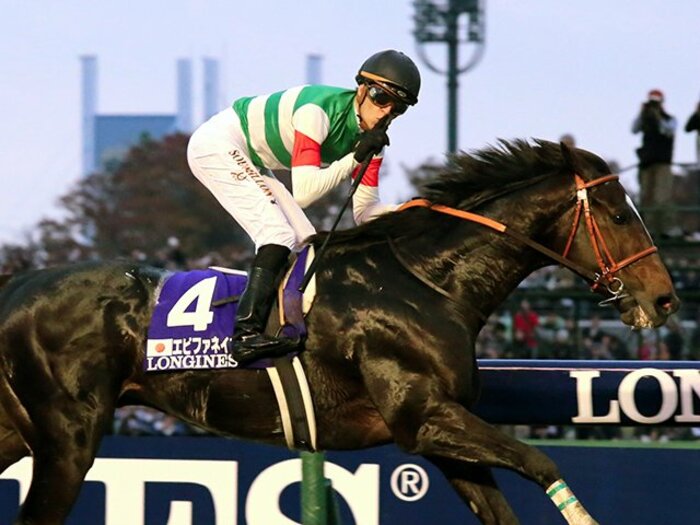 JC制覇エピファネイア、世界最強へ。掛かっても突き抜けた「圧勝」の裏側。＜Number Web＞ photograph by Yuji Takahashi