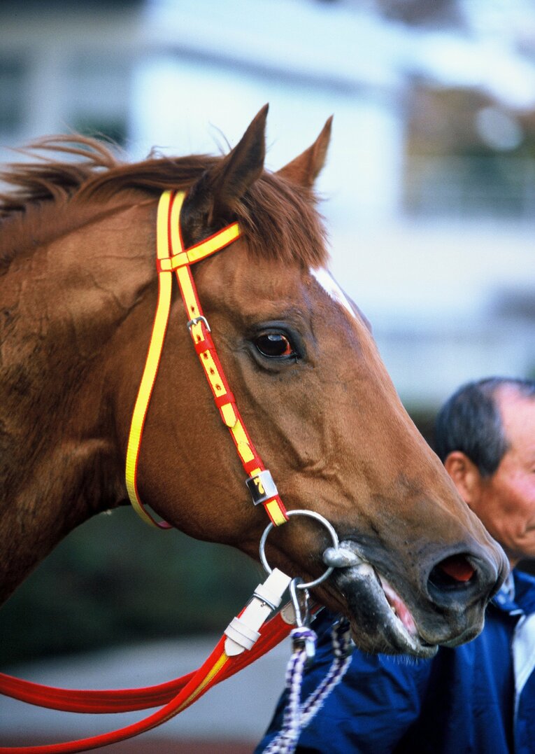 朝日杯3歳ステークスをレコードで制したグラスワンダーは「マルゼンスキーの再来」と称された　©Sports Graphic Number