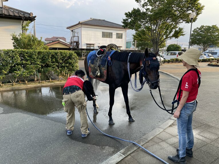 本祭りの締めくくりである「帰り馬」後、水をかけてもらうトーセンブレイヴ