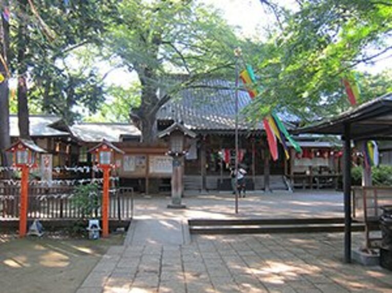 暑い夏には、都心から逃げよう！セレブ世田谷、緑の公園巡り60km。(13)