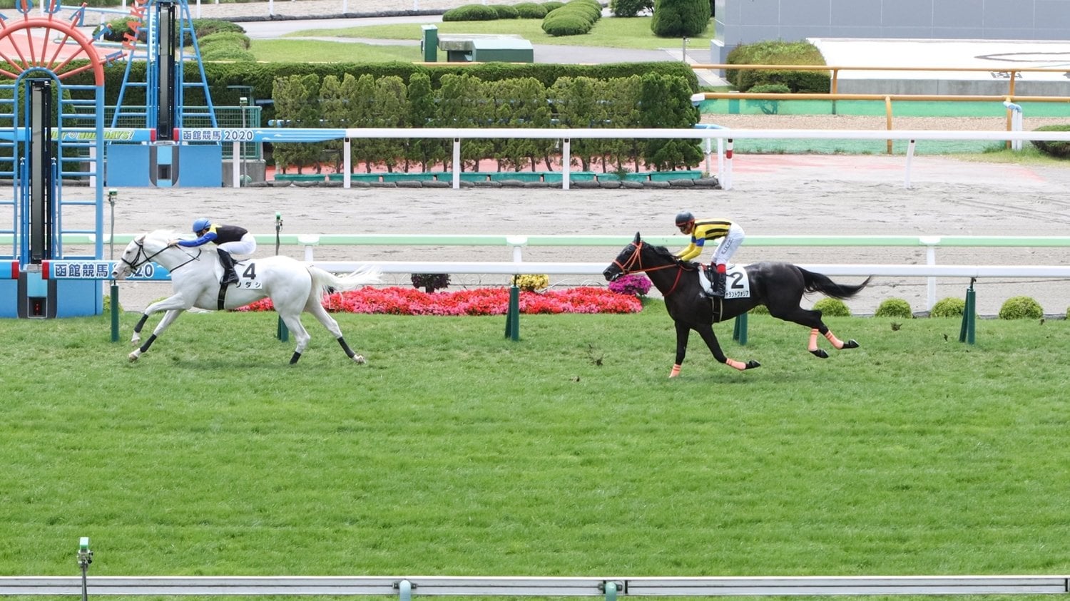 2020年7月函館でのデビュー戦、2着に2馬身半差をつけて勝利　©Sankei Shimbun