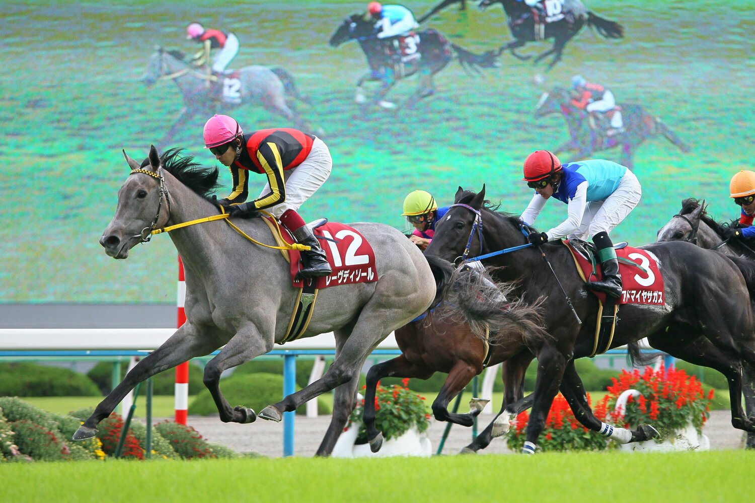 大外一気の末脚で他馬を呑み込んだデイリー杯2歳ステークス　©Yuji Takahashi