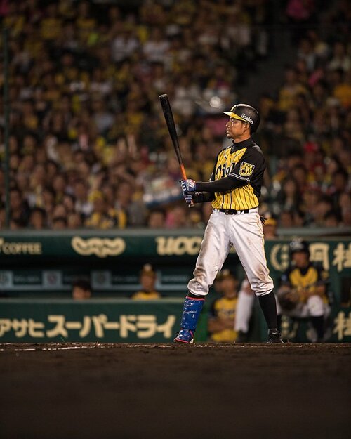 img_34a9cda5d1ae5b1e2a973f45a8